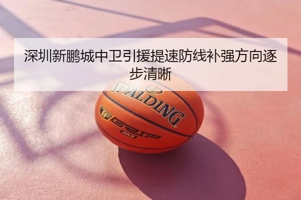 深圳新鹏城中卫引援提速防线补强方向逐步清晰